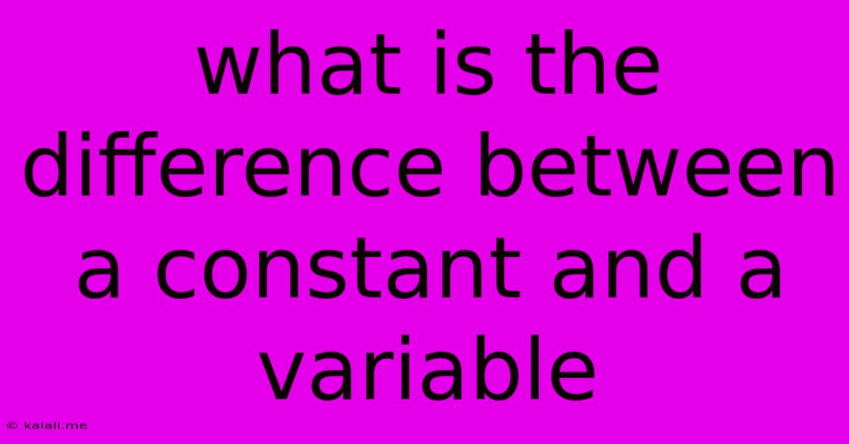 What Is The Difference Between A Constant And A Variable