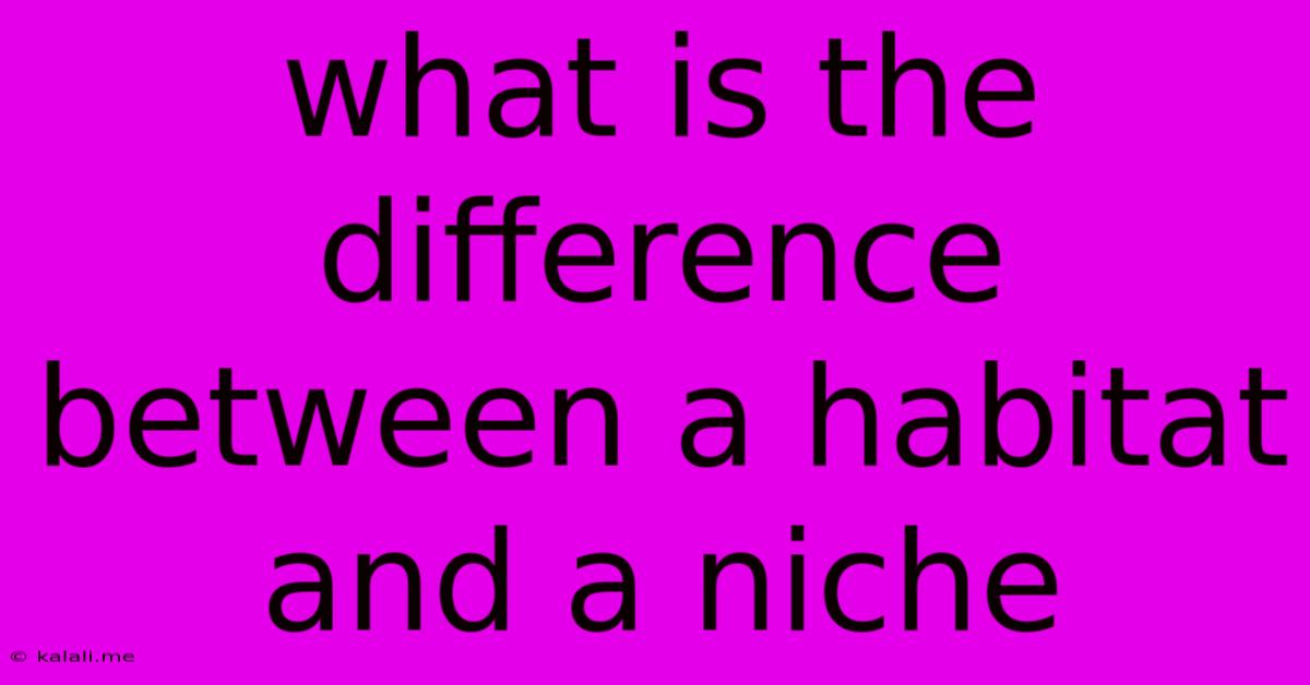 What Is The Difference Between A Habitat And A Niche