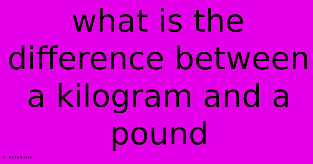 What Is The Difference Between A Kilogram And A Pound