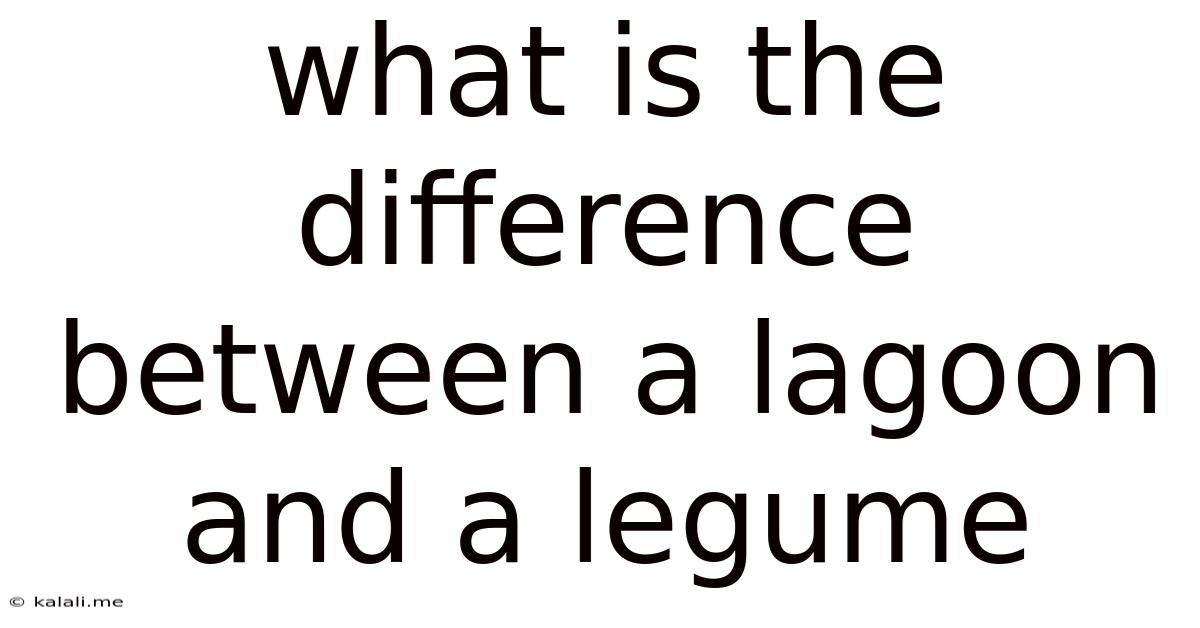 What Is The Difference Between A Lagoon And A Legume