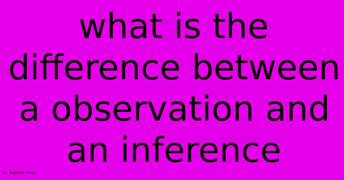 What Is The Difference Between A Observation And An Inference
