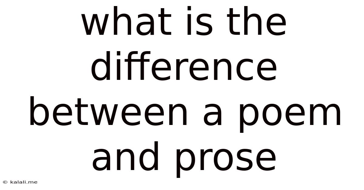 What Is The Difference Between A Poem And Prose