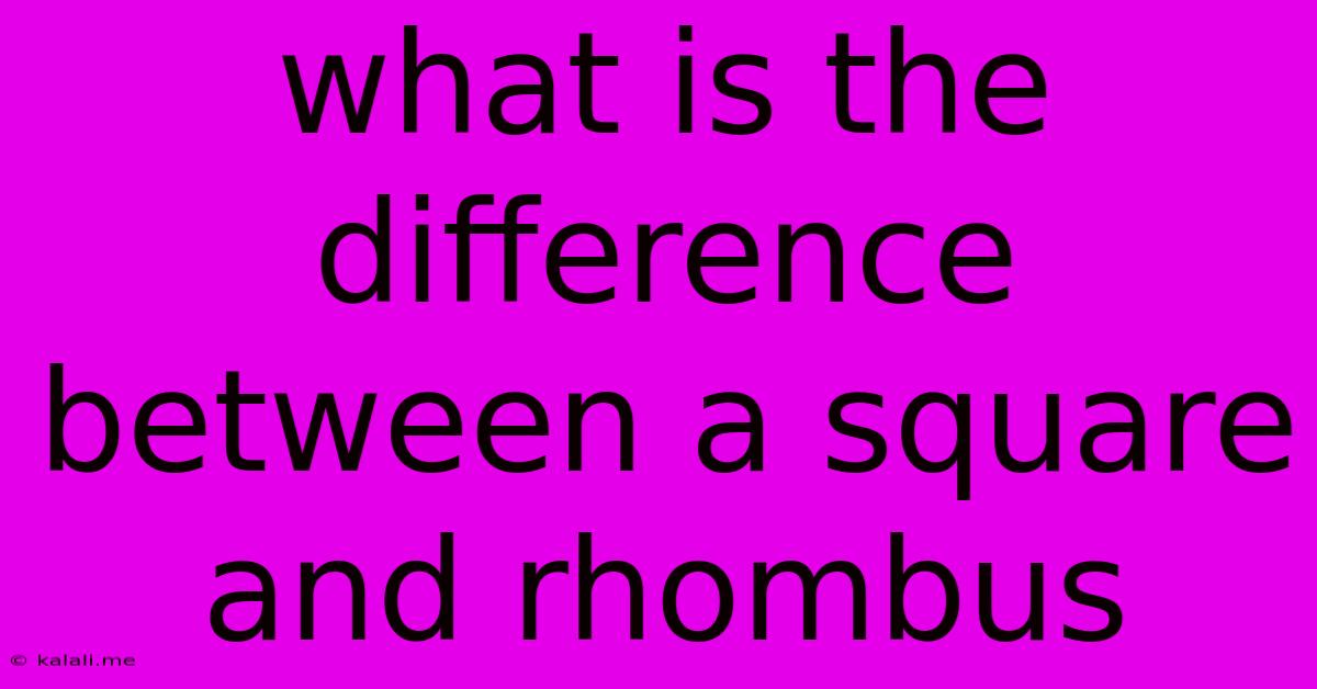 What Is The Difference Between A Square And Rhombus