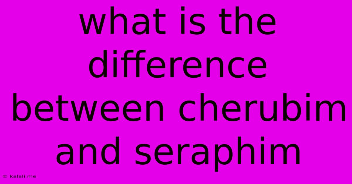 What Is The Difference Between Cherubim And Seraphim