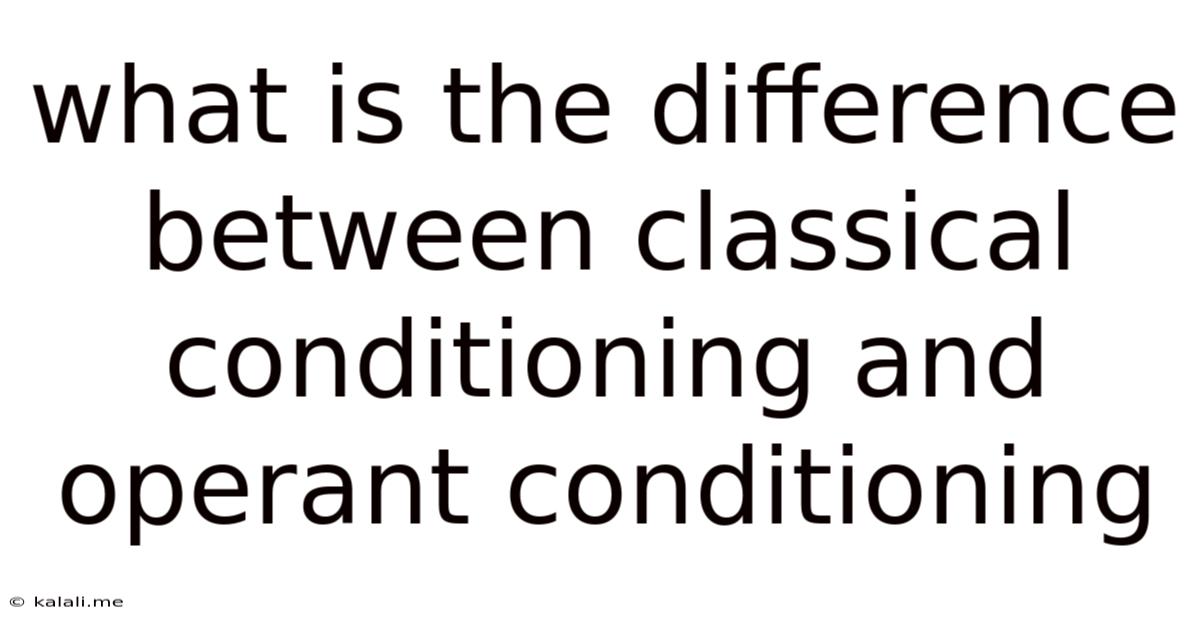 What Is The Difference Between Classical Conditioning And Operant Conditioning
