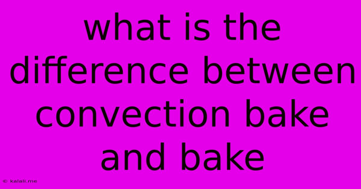 What Is The Difference Between Convection Bake And Bake