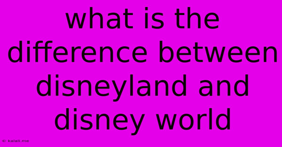 What Is The Difference Between Disneyland And Disney World