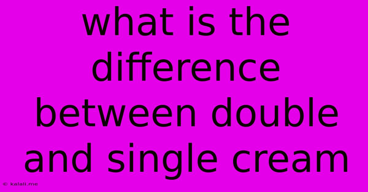 What Is The Difference Between Double And Single Cream