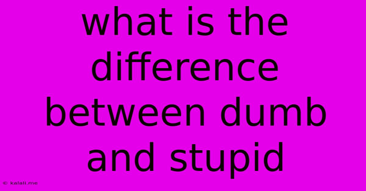 What Is The Difference Between Dumb And Stupid