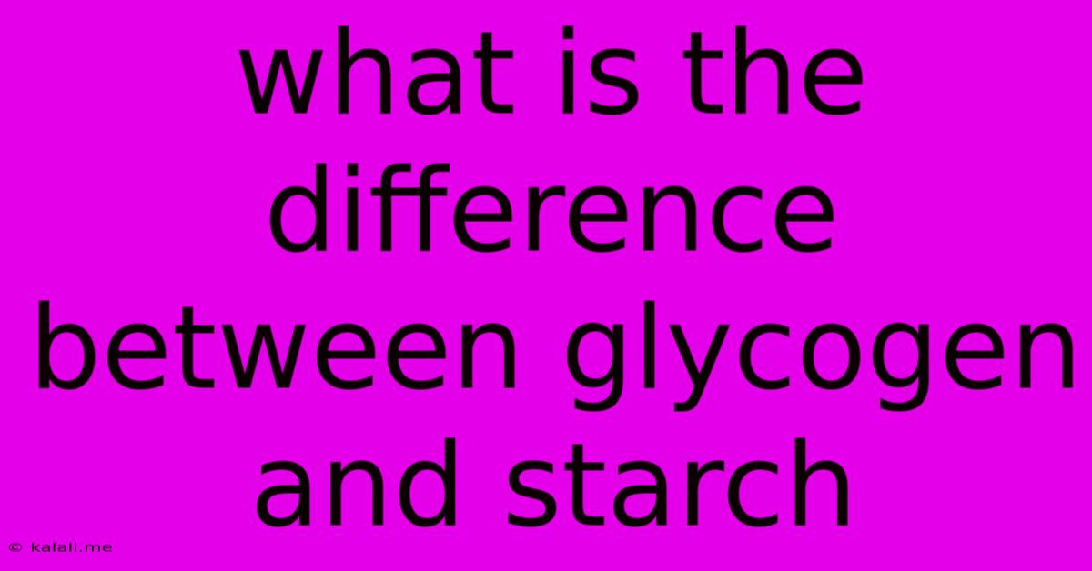 What Is The Difference Between Glycogen And Starch