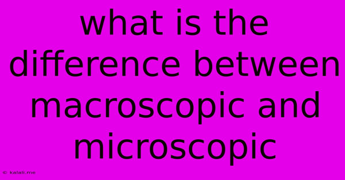 What Is The Difference Between Macroscopic And Microscopic