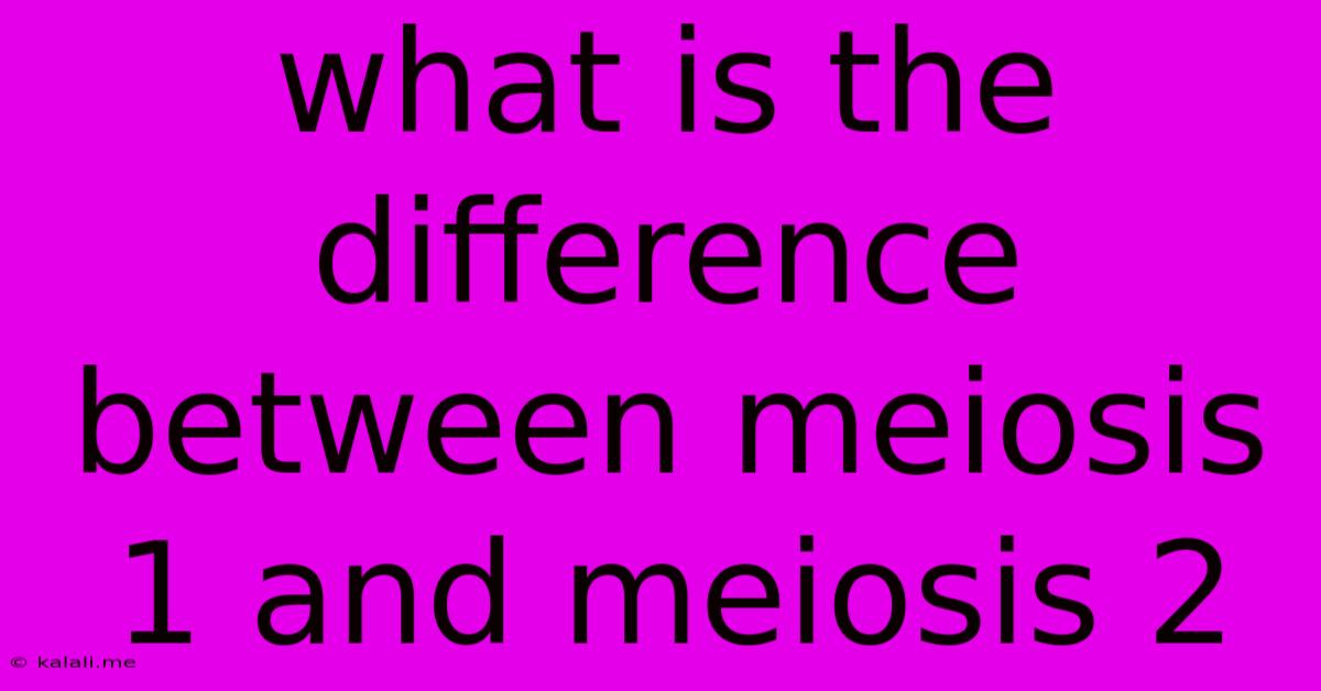 What Is The Difference Between Meiosis 1 And Meiosis 2