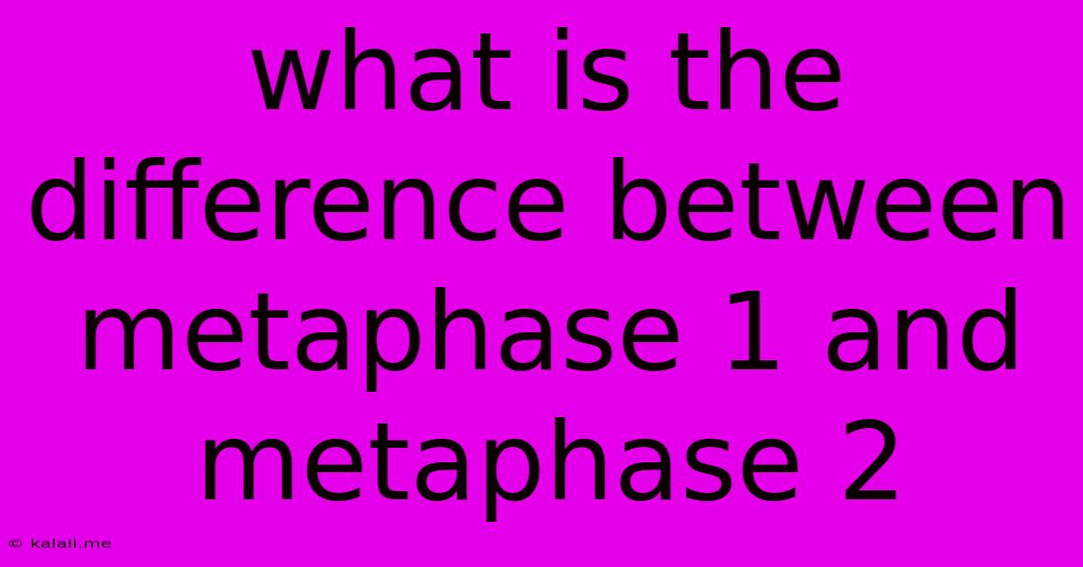 What Is The Difference Between Metaphase 1 And Metaphase 2