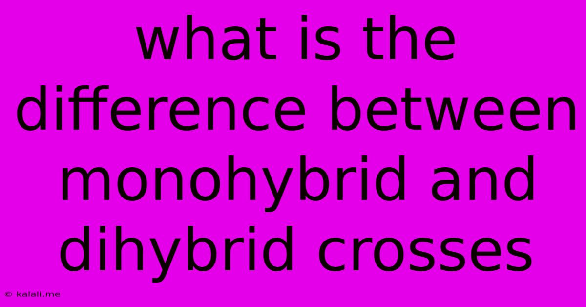 What Is The Difference Between Monohybrid And Dihybrid Crosses