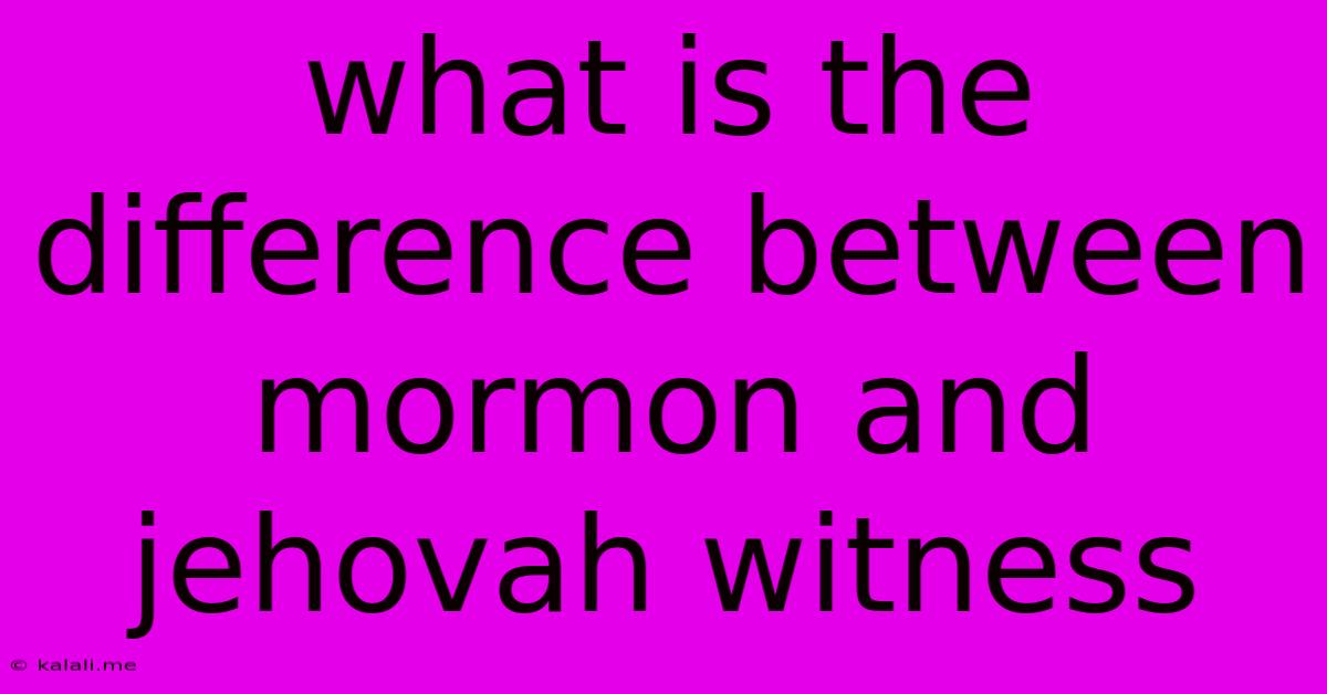 What Is The Difference Between Mormon And Jehovah Witness