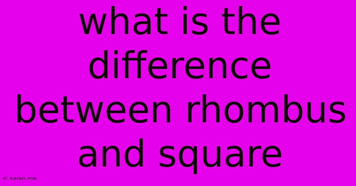 What Is The Difference Between Rhombus And Square