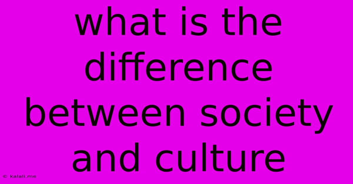 What Is The Difference Between Society And Culture