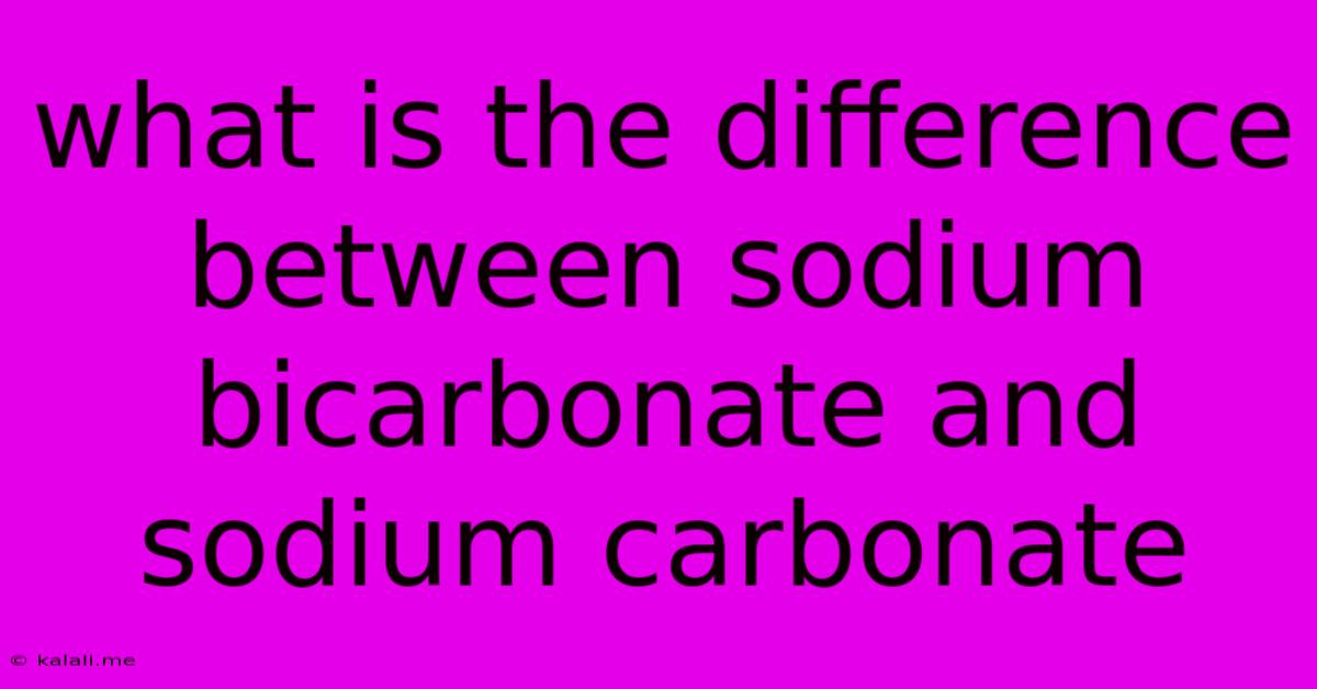 What Is The Difference Between Sodium Bicarbonate And Sodium Carbonate