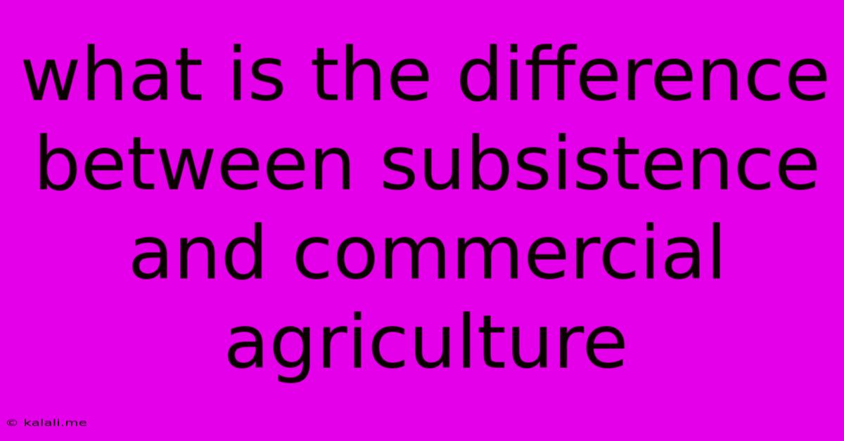 What Is The Difference Between Subsistence And Commercial Agriculture