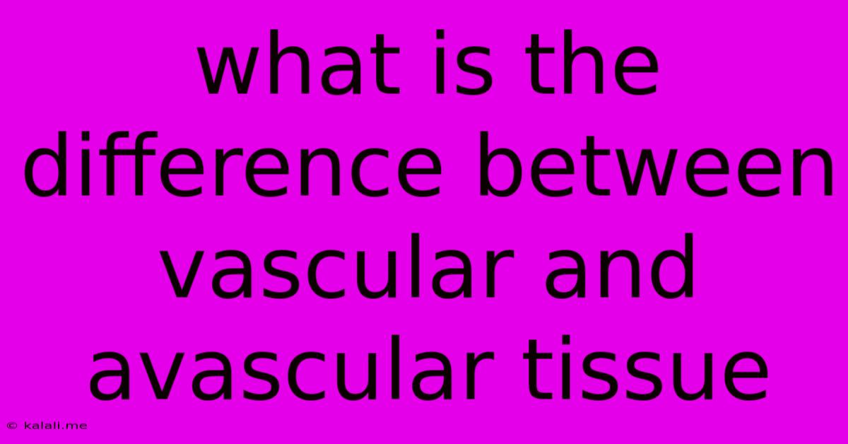 What Is The Difference Between Vascular And Avascular Tissue
