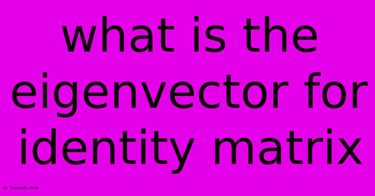 What Is The Eigenvector For Identity Matrix