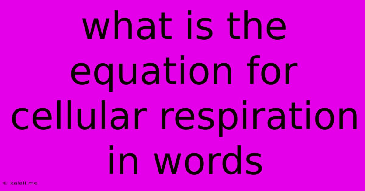 What Is The Equation For Cellular Respiration In Words