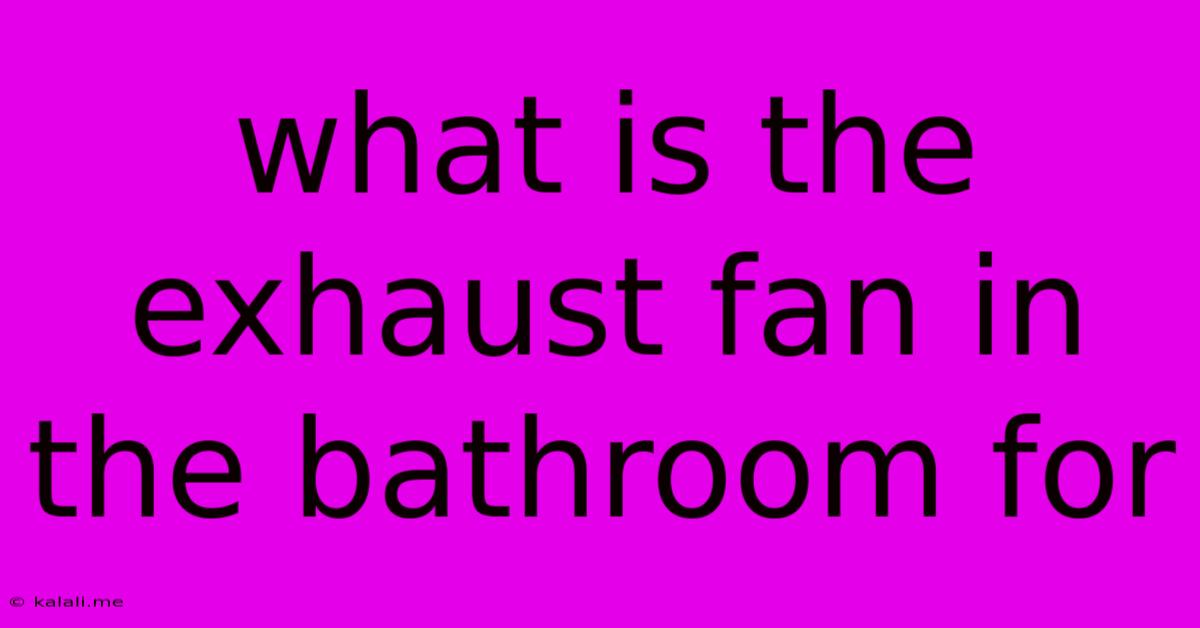 What Is The Exhaust Fan In The Bathroom For