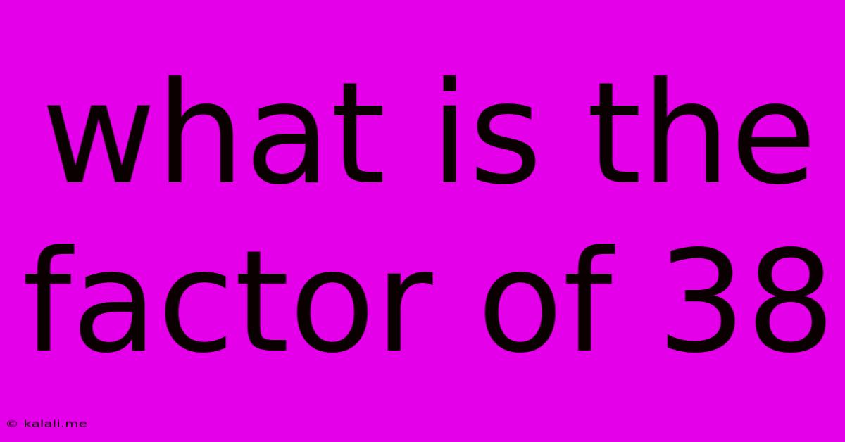 What Is The Factor Of 38