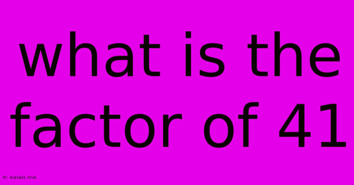 What Is The Factor Of 41