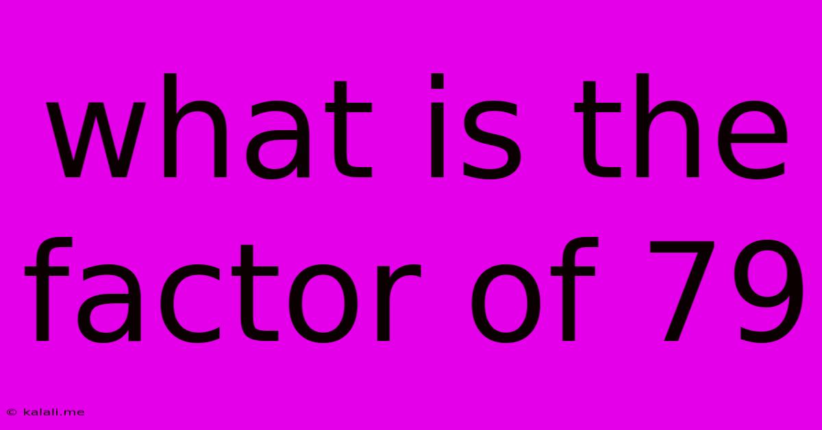 What Is The Factor Of 79