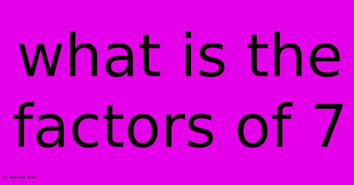 What Is The Factors Of 7