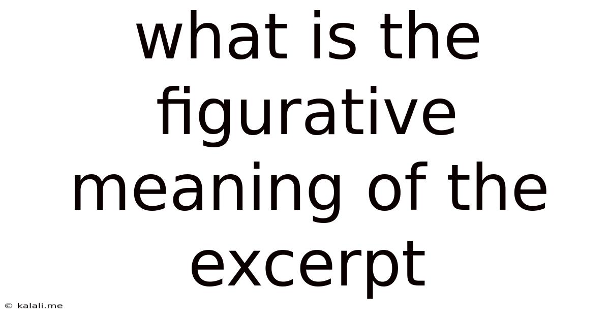 What Is The Figurative Meaning Of The Excerpt