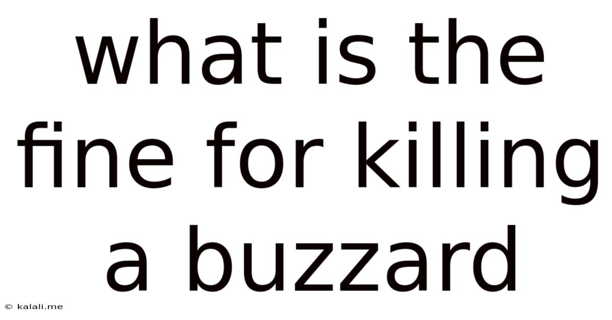 What Is The Fine For Killing A Buzzard