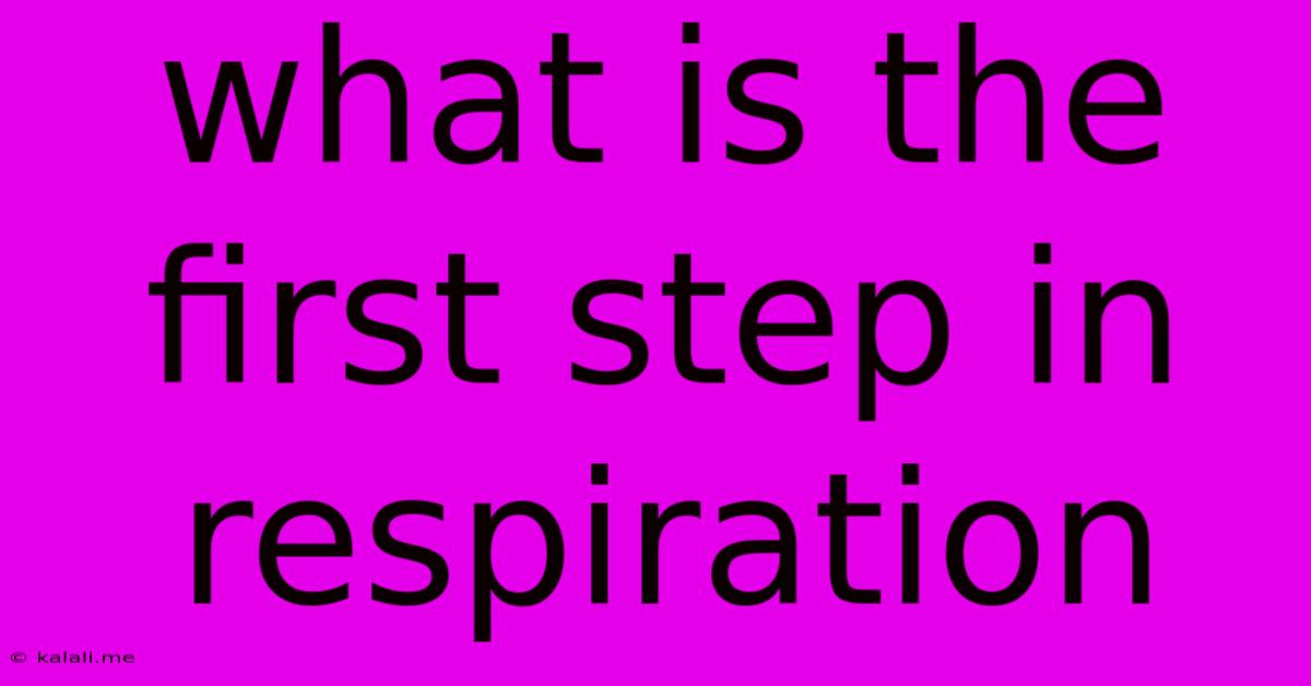 What Is The First Step In Respiration