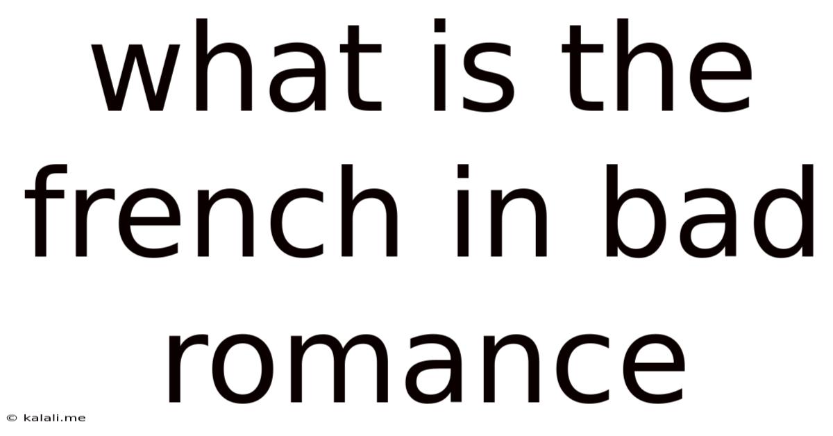 What Is The French In Bad Romance