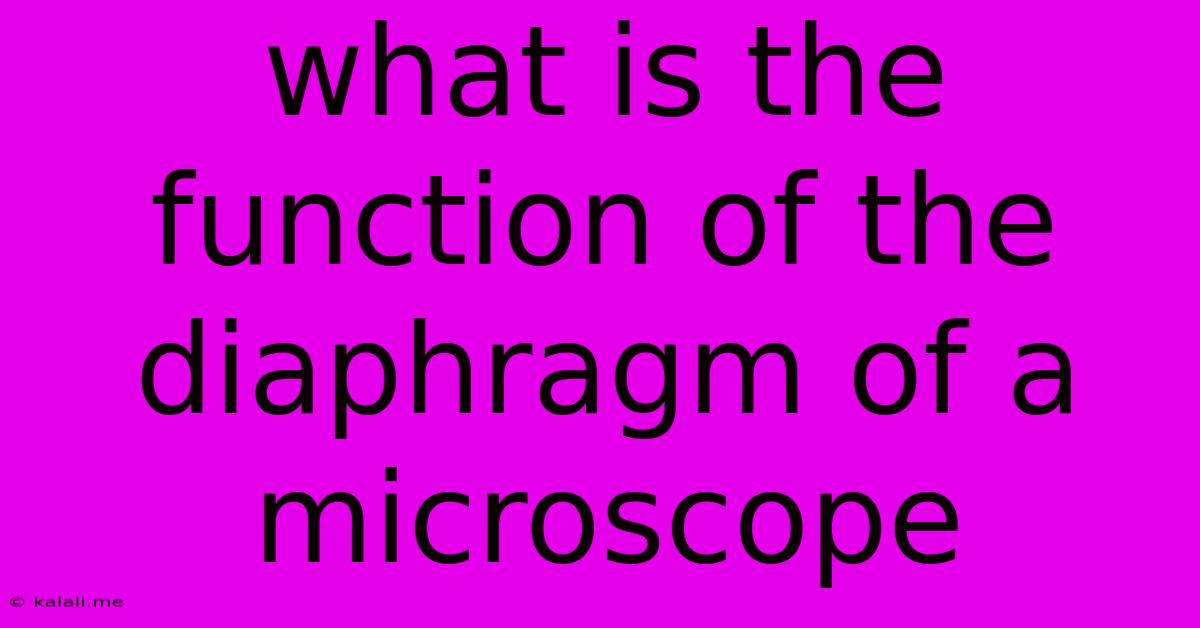 What Is The Function Of The Diaphragm Of A Microscope