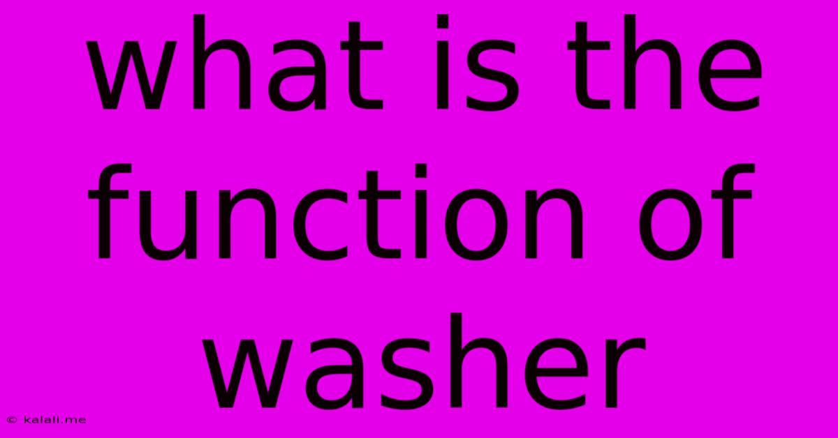 What Is The Function Of Washer