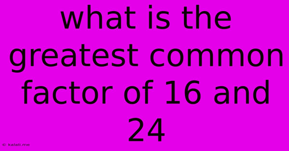 What Is The Greatest Common Factor Of 16 And 24