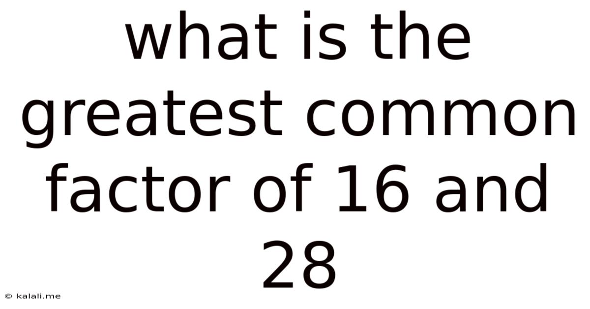 What Is The Greatest Common Factor Of 16 And 28