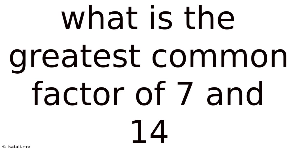 What Is The Greatest Common Factor Of 7 And 14