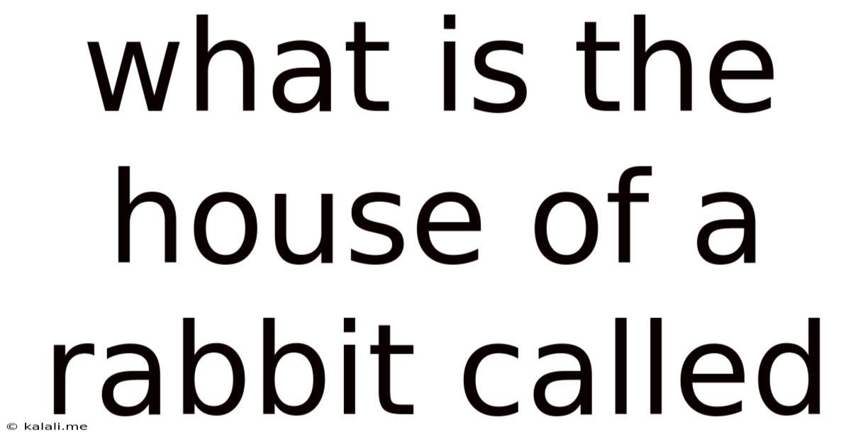 What Is The House Of A Rabbit Called