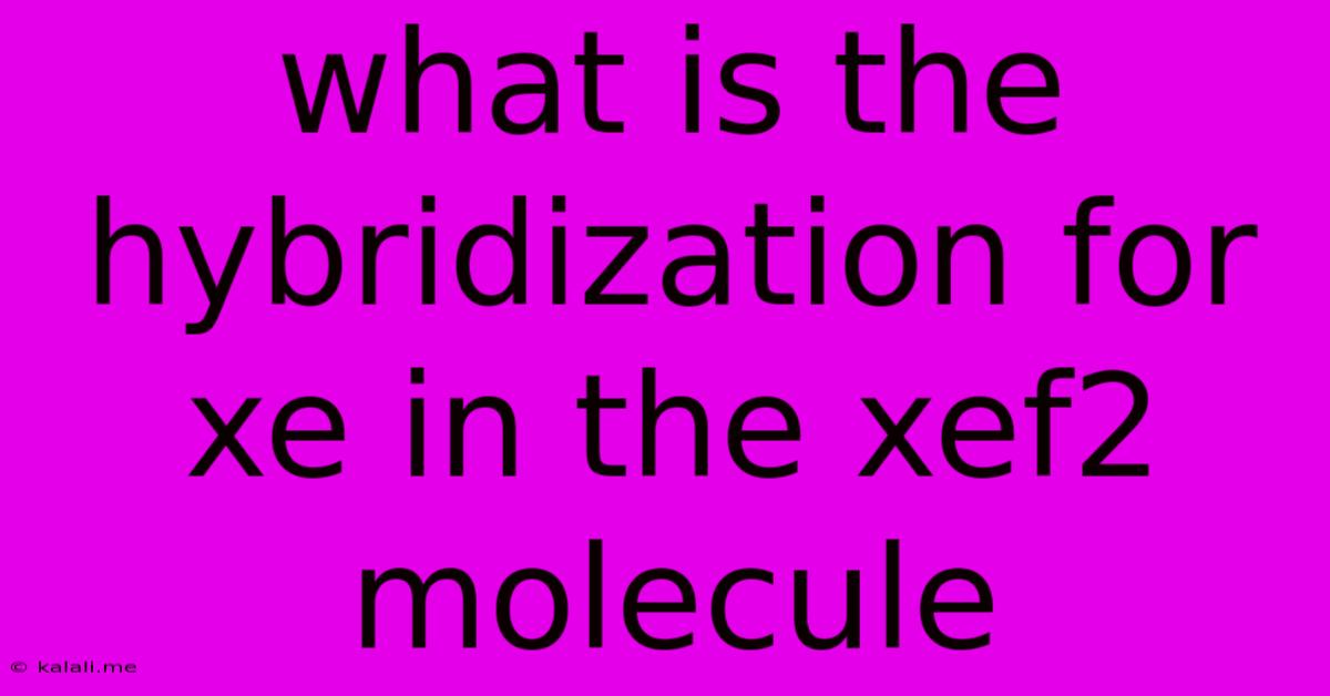 What Is The Hybridization For Xe In The Xef2 Molecule