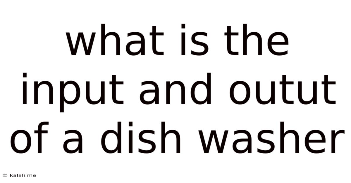 What Is The Input And Outut Of A Dish Washer