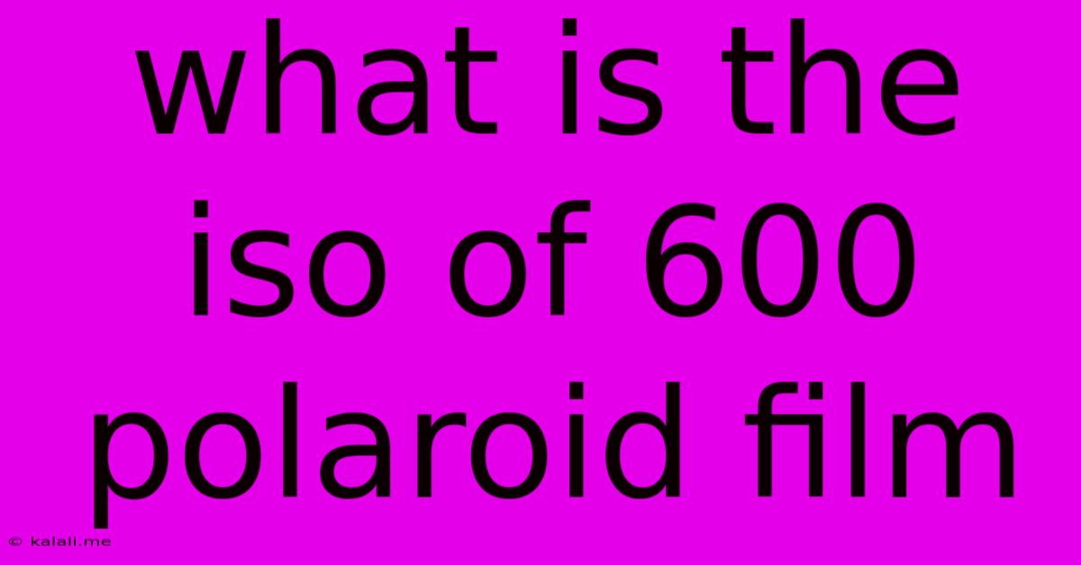 What Is The Iso Of 600 Polaroid Film