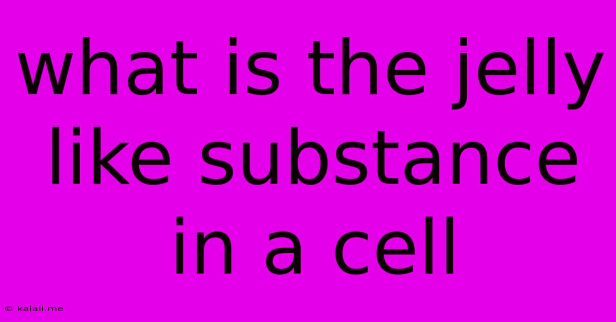What Is The Jelly Like Substance In A Cell