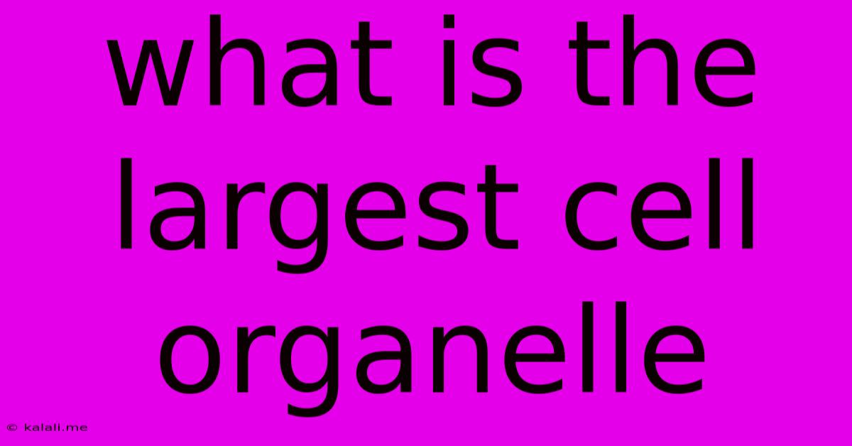 What Is The Largest Cell Organelle