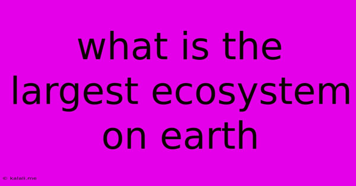 What Is The Largest Ecosystem On Earth