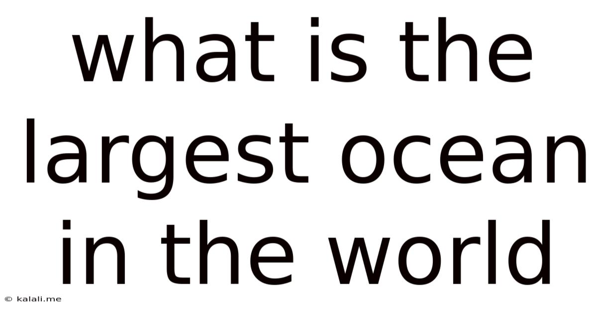 What Is The Largest Ocean In The World