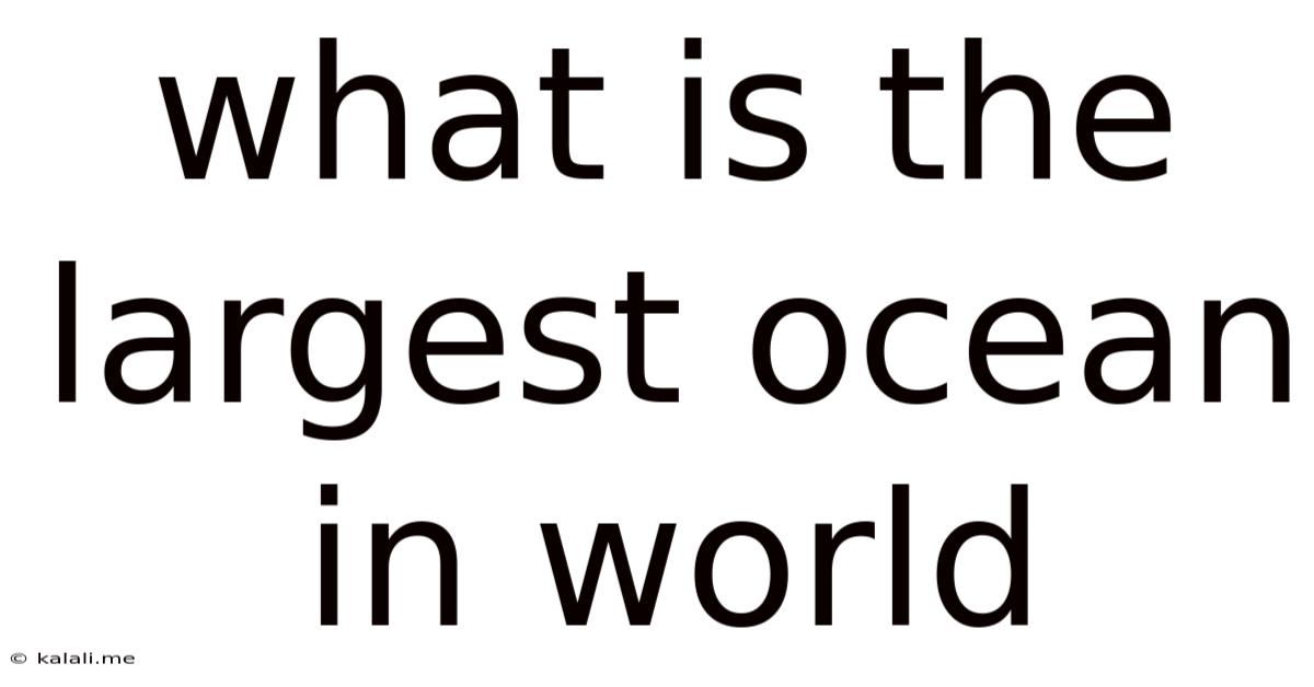 What Is The Largest Ocean In World