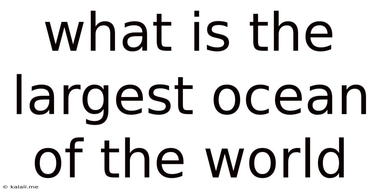 What Is The Largest Ocean Of The World